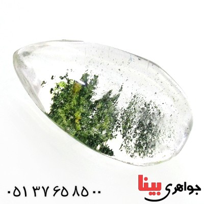 نگین انگشتر در منظره ای درشت با طرح درختان _کد:11964
