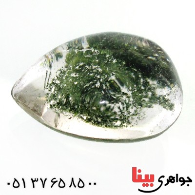 نگین انگشتر در منظره ای درشت با طرح درختان انبوه _کد:11974