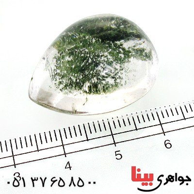 نگین انگشتر در منظره ای درشت با طرح درختان انبوه _کد:11974