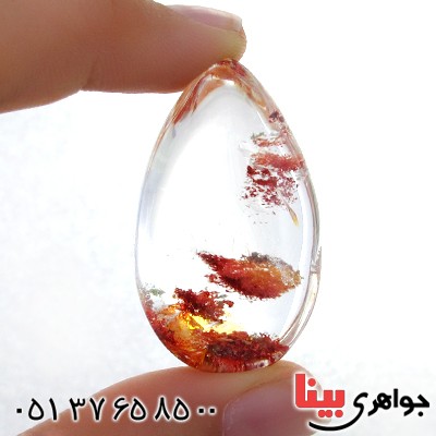 نگین انگشتر در منظره ای درشت با طرح خزان _کد:11975