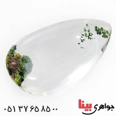 نگین انگشتر در منظره ای درشت خوش نقش