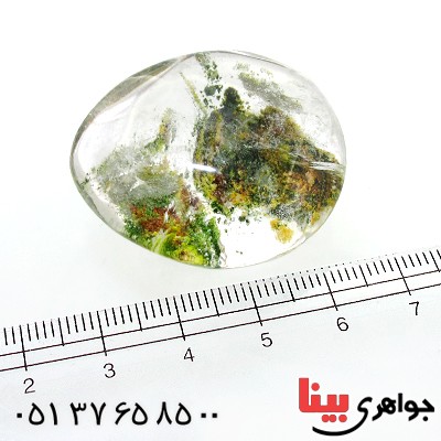 نگین انگشتر در منظره ای درشت با طرح درختان انبوه _کد:12099