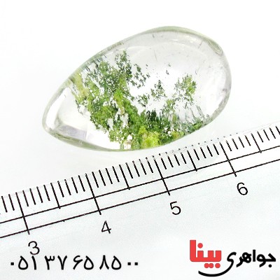نگین انگشتر در منظره ای درشت با طرح جنگل _کد:12171