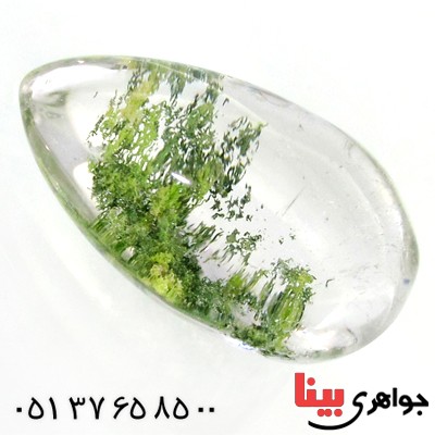 نگین انگشتر در منظره ای درشت با طرح جنگل _کد:12171