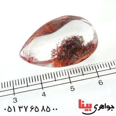 نگین انگشتر در منظره ای درشت با منظره خزان _کد:12174
