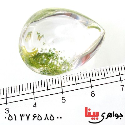 نگین انگشتر در منظره ای درشت با طرح طبیعت _کد:12191