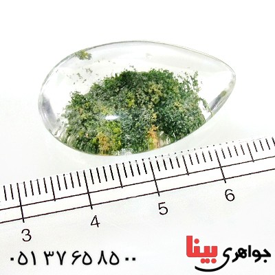 نگین انگشتر در منظره ای درشت طرح بوته _کد:12284 نگین انگشتر در منظره ای درشت طرح بوته _کد:12284