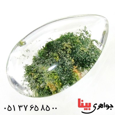 نگین انگشتر در منظره ای درشت طرح بوته _کد:12284 نگین انگشتر در منظره ای درشت طرح بوته _کد:12284