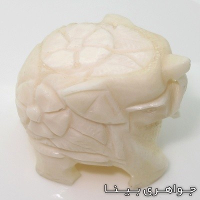 متفرقه عاج فیل