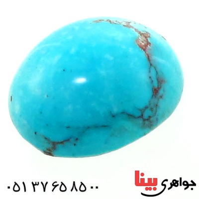 نگین انگشتر فیروزه نیشابوری شجری خوش نقش و رنگ