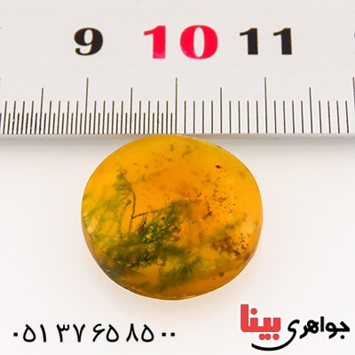 نگین انگشتر کهربا خزه ای روسی _کد:12808 نگین انگشتر کهربا خزه ای روسی _کد:12808