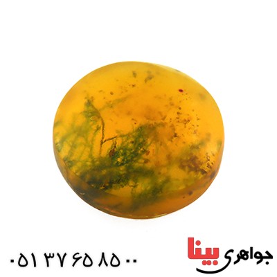 نگین انگشتر کهربا خزه ای روسی _کد:12808 نگین انگشتر کهربا خزه ای روسی _کد:12808