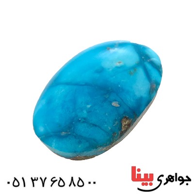 نگین انگشتر فیروزه نیشابوری شجری خوش نقش و رنگ بیضی _کد:12816 نگین انگشتر فیروزه نیشابوری شجری خوش نقش و رنگ بیضی _کد:12816