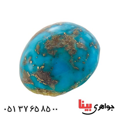 نگین انگشتر فیروزه نیشابوری شجری خوش نقش بیضی