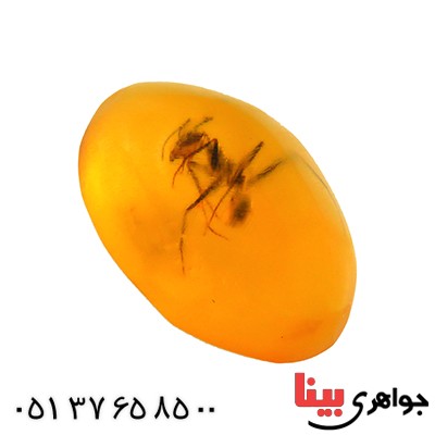 نگین انگشتر کهربا حشره ای روسی