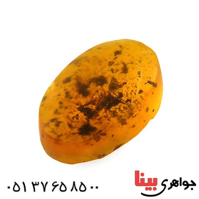 حشره ای روسی _کد:12846