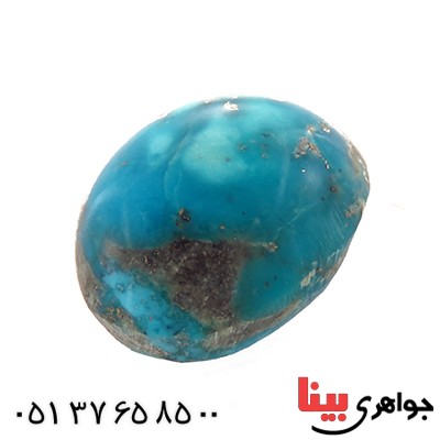 نگین انگشتر فیروزه نیشابوری شجری خوشرنگ بیضی _کد:12902