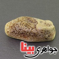 نگین انگشتر خرمهره درشت منحصر به فرد _کد:16528