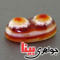نگین انگشتر عقیق باباقوری شش پوسته خوشرنگ _کد:16615