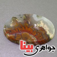 نگین انگشتر عقیق شجری دریایی سه بعدی درشت _کد:16647