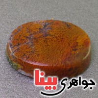 نگین انگشتر عقیق شجری دریایی سه بعدی درشت عالی _کد:16872