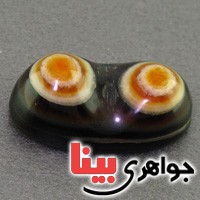 نگین انگشتر عقیق باباقوری پنج پوسته دو کوهان خوشرنگ _کد:16889