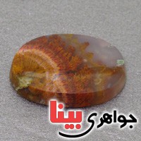 نگین انگشتر عقیق شجری دریایی سه بعدی درشت