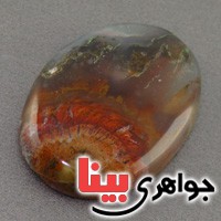 نگین انگشتر عقیق شجری دریایی سه بعدی درشت