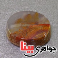 نگین انگشتر عقیق شجری دریایی سه بعدی درشت _کد:16957