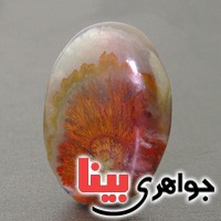 نگین انگشتر عقیق شجری دریایی منظره ای درشت