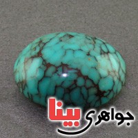 نگین انگشتر فیروزه شجری درشت بسیار عالی _کد:16996