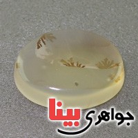 نگین انگشتر عقیق شجری درشت بسیار زیبا _کد:17124