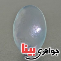 نگین انگشتر عقیق یمنی شجری درشت خوشرنگ _کد:17130