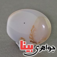 نگین انگشتر عقیق شجری درشت خوشرنگ نگین انگشتر عقیق شجری درشت خوشرنگ