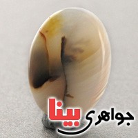 نگین انگشتر عقیق شجری منظره ای سه بعدی دو رو درشت  _کد:17150