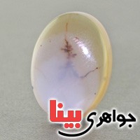 نگین انگشتر عقیق شجری درشت خوش نقش _کد:17178