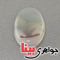 نگین انگشتر عقیق یمنی شجری درشت خاص _کد:17184
