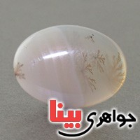 نگین انگشتر عقیق شجری درشت با طرح مینیاتوری _کد:17191