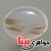 نگین انگشتر عقیق شجری درشت بسیار زیبا _کد:17195