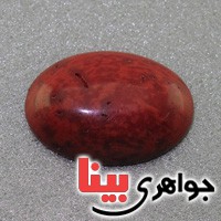 نگین انگشتر مرجان درشت خوشرنگ _کد:17390
