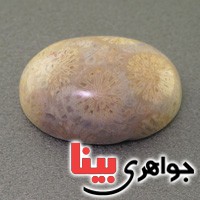 نگین انگشتر مرجان دریایی خوش نقش درشت مرغوب _کد:17413