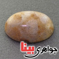 نگین انگشتر مرجان دریایی درشت خوش نقش _کد:17421