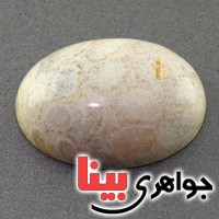 نگین انگشتر مرجان دریایی درشت خوش نقش _کد:17452