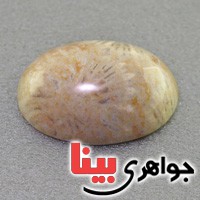 نگین انگشتر مرجان دریایی درشت خوش نقش