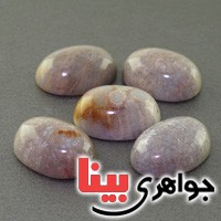نگین انگشتر مرجان دریایی درشت خوش نقش _کد:17530