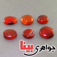 نگین انگشتر عقیق یمنی شجری 6 تایی بسیار خوشرنگ  و عالی _کد:17616