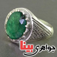 خوشرنگ مردانه عالی _کد:17667