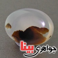 نگین انگشتر عقیق یمنی شجری درشت خوش نقش _کد:17750