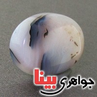 نگین انگشتر عقیق یمنی شجری درشت خوش نقش _کد:17763