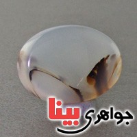 نگین انگشتر عقیق یمنی شجری درشت خاص بسیار زیبا _کد:17792
